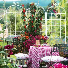 4 Pack Metal Garden Trellis 86.7" x 19.7" Rustproof Trellis for Climbing Plants Outdoor Flower Support Cream White (Color: as Pic)